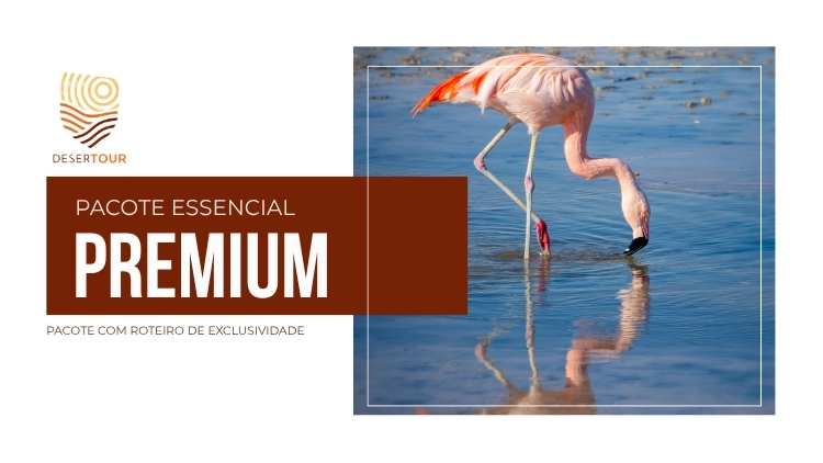 PACOTE PREMIUM 2 - Experi&ecirc;ncia completa no Salar de Atacama - Or&ccedil;amente 2 at&eacute; 4 pessoas por grupo